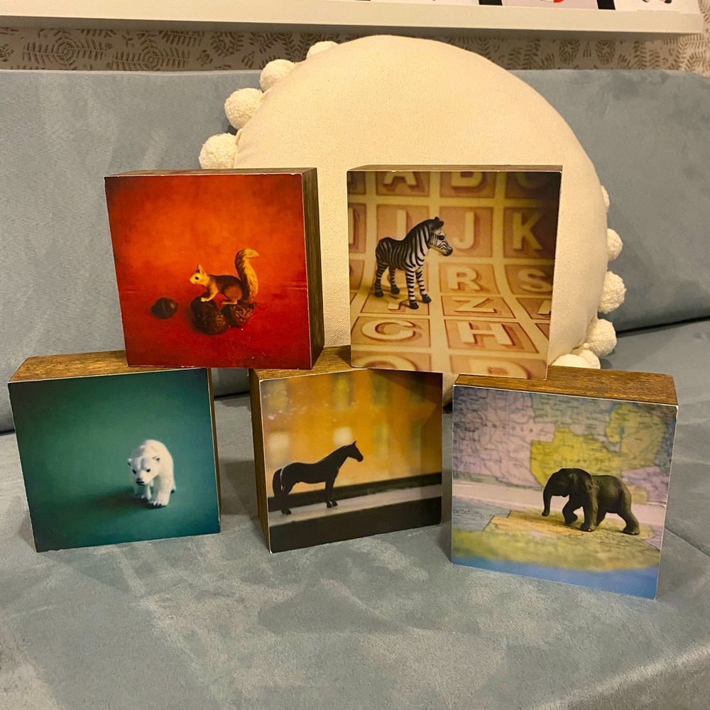 Prints on wood canvas - Elizabeth Soule Photography